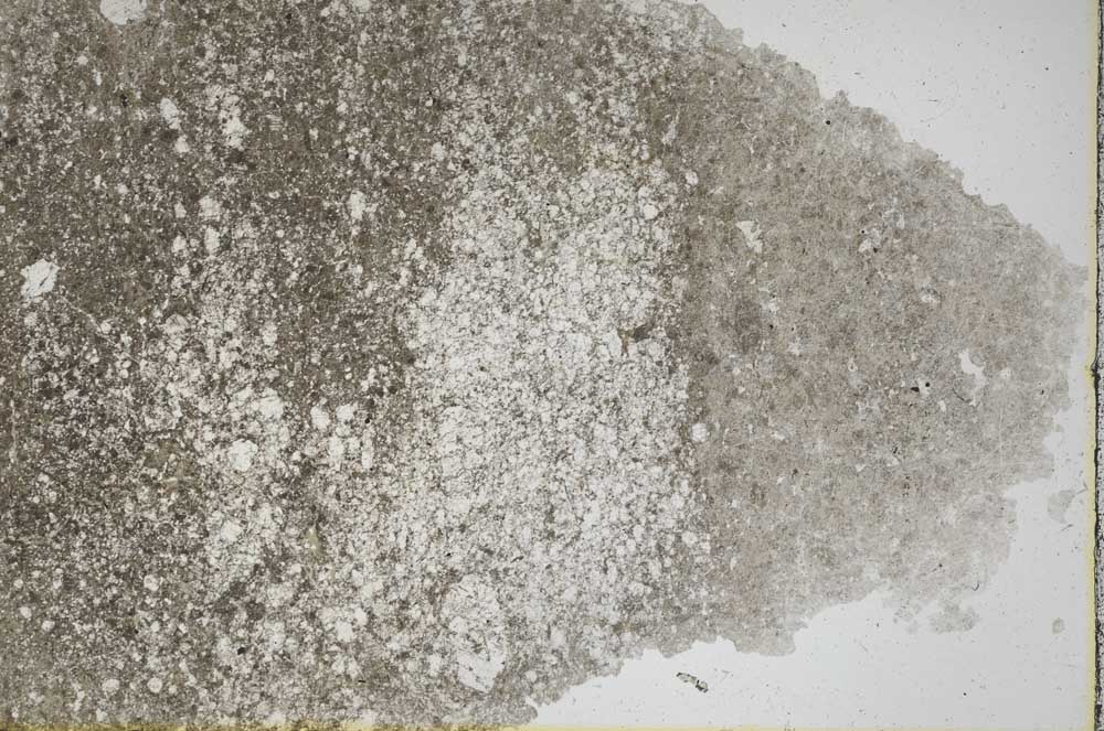 Plane Polarized, S55836