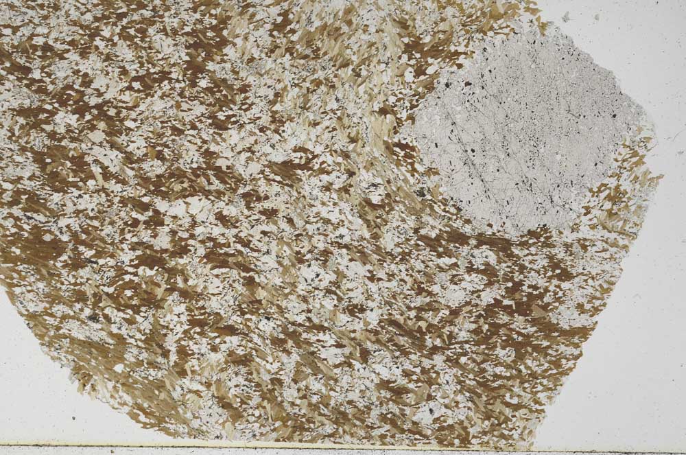 Plane Polarized, S55841