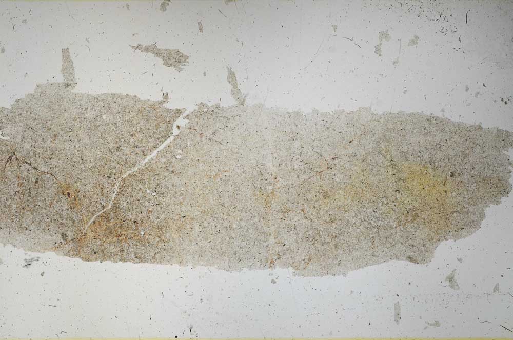 Plane Polarized, S55842