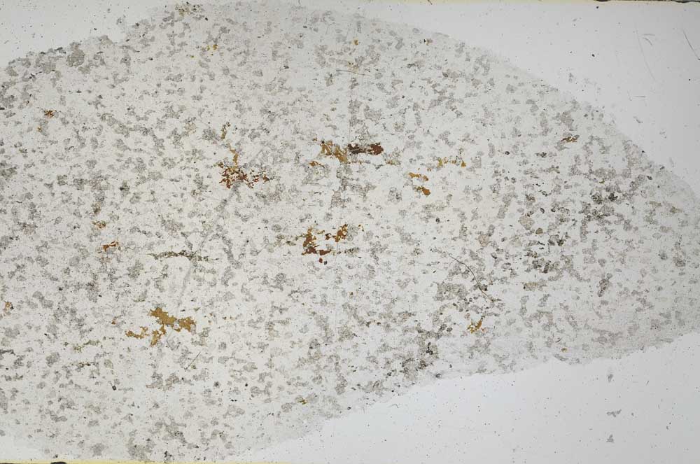 Plane Polarized, S55844