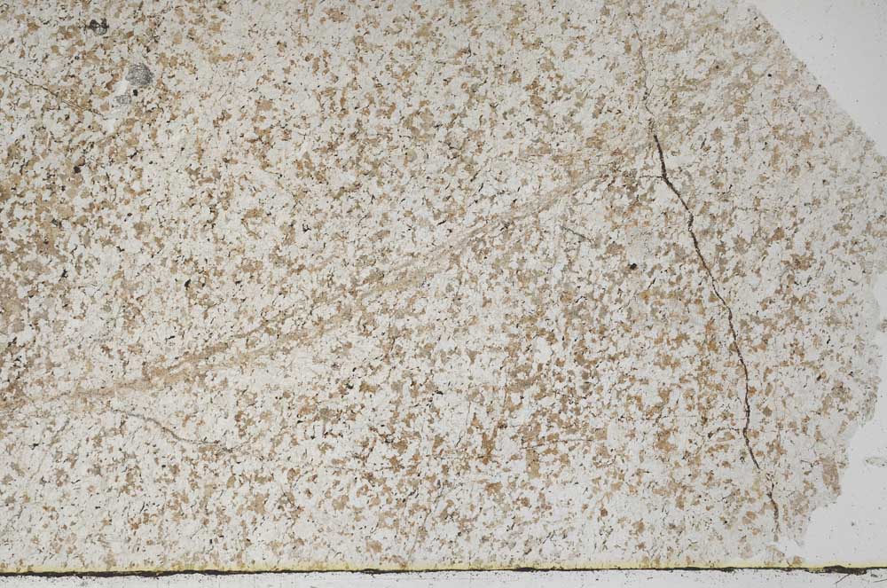 Plane Polarized, S55847