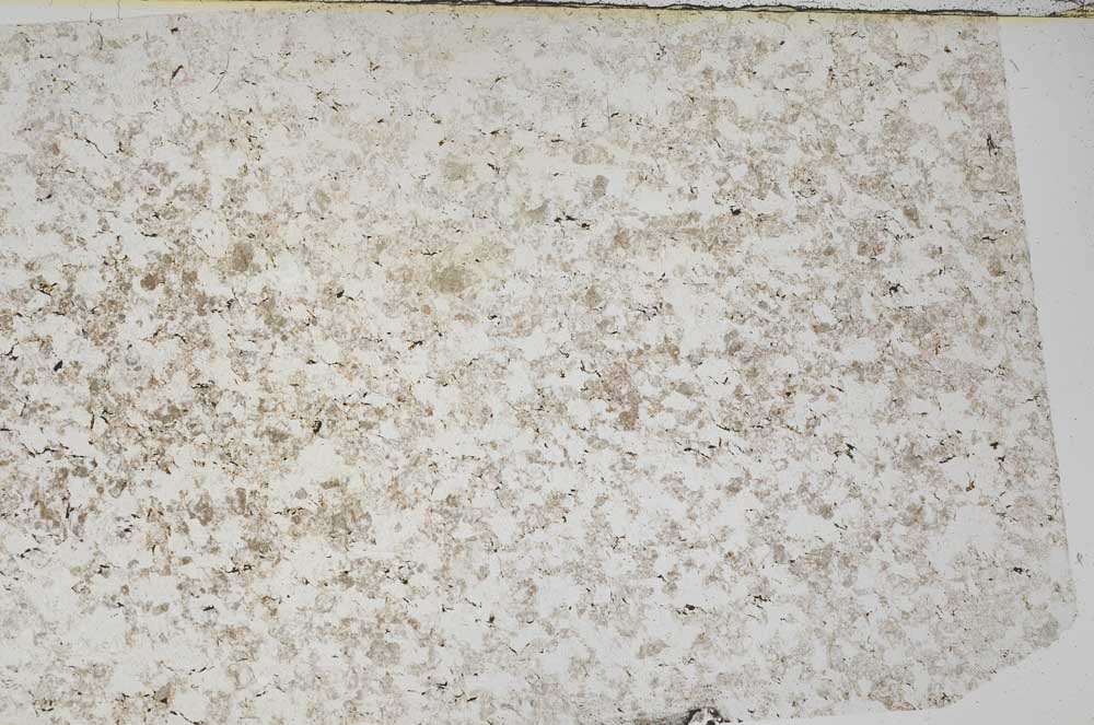 Plane Polarized, S55848