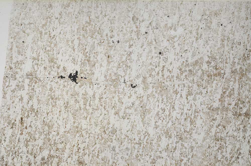Plane Polarized, S55853