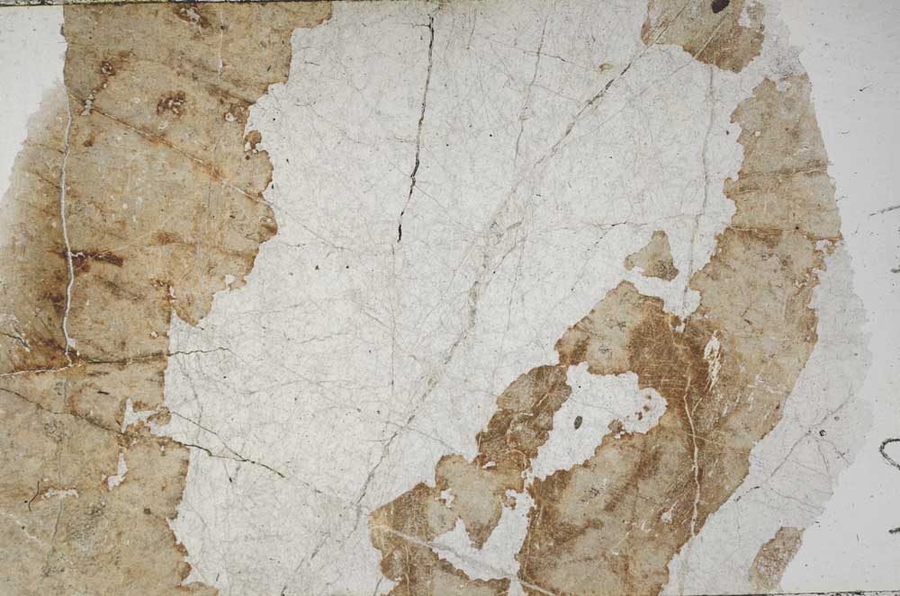 Plane Polarized, S55856
