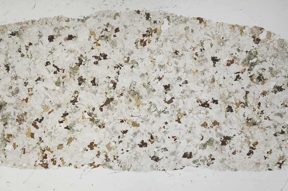 Plane Polarized, S55973