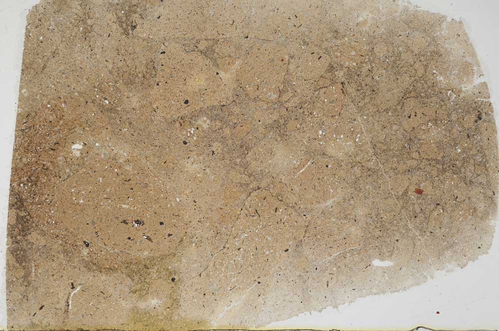 Plane Polarized, S56054