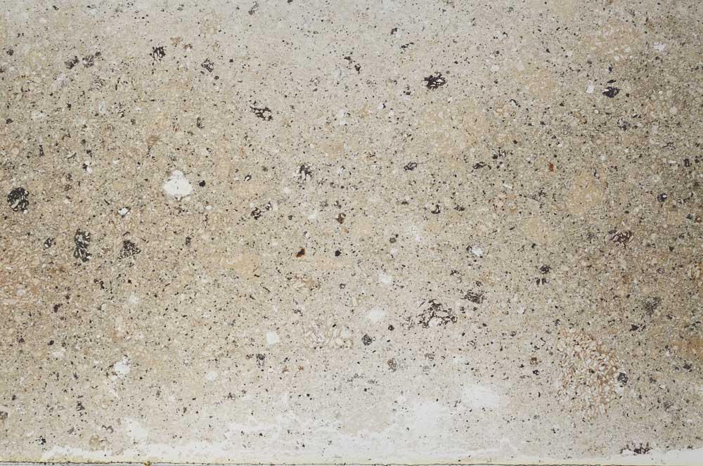 Plane Polarized, S56062