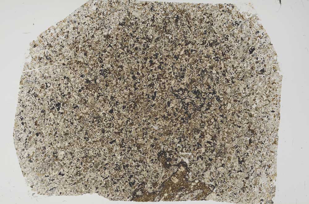 Plane Polarized, S56085