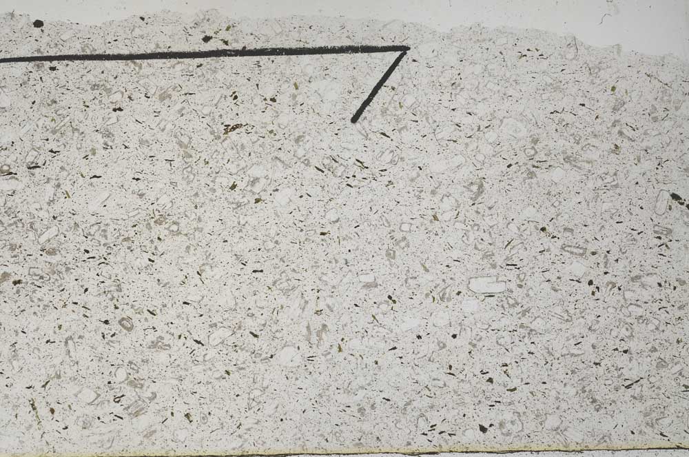 Plane Polarized, S56124