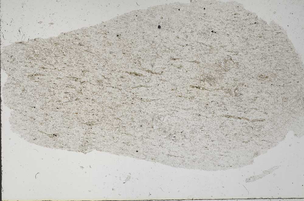 Plane Polarized, S56134