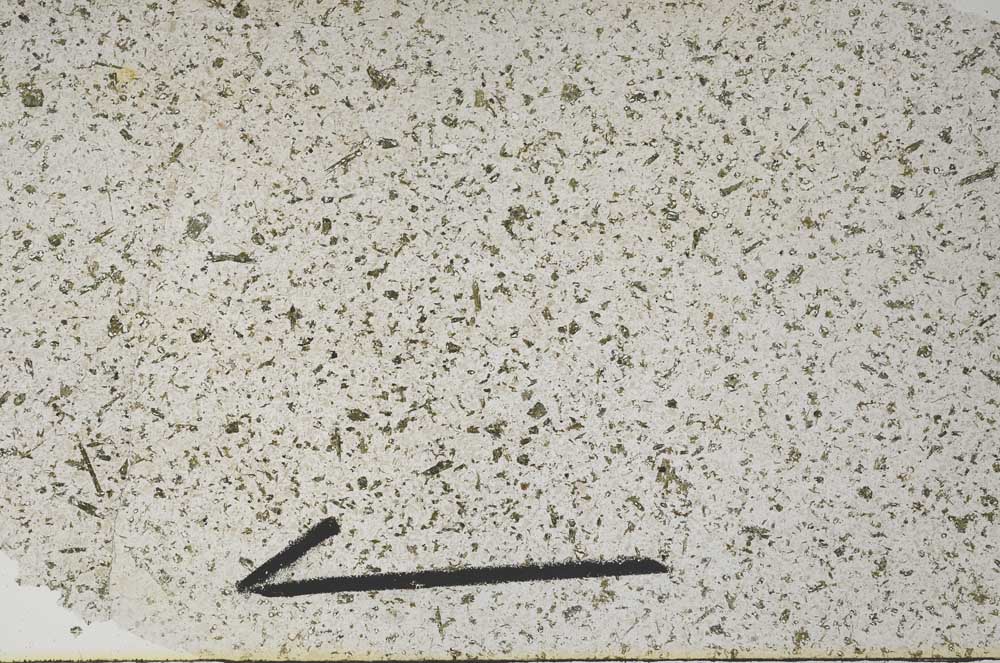 Plane Polarized, S56135