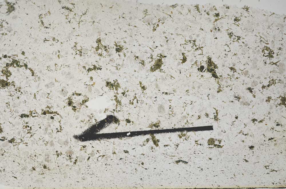 Plane Polarized, S56139