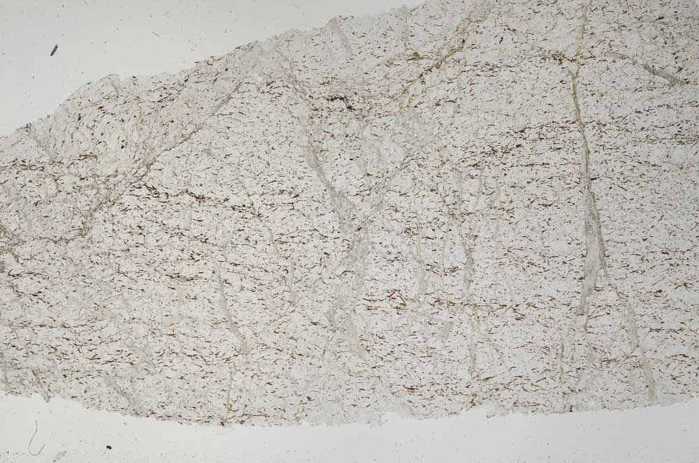Plane Polarized, S56152