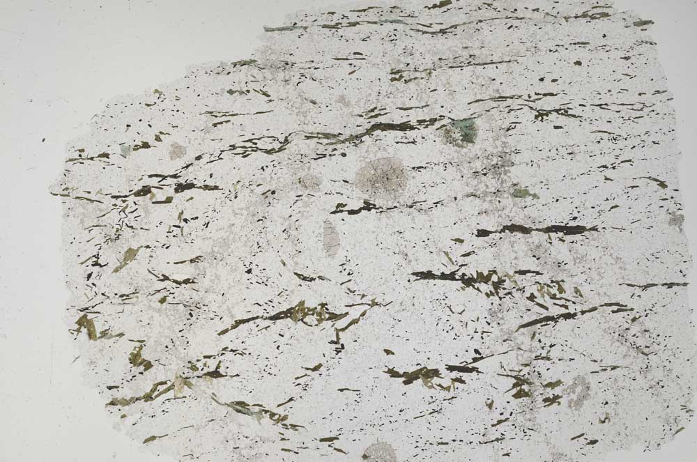Plane Polarized, S56155