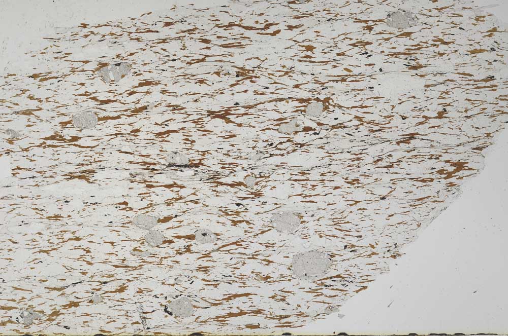 Plane Polarized, S56156