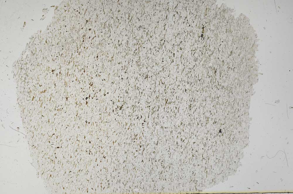 Plane Polarized, S56160