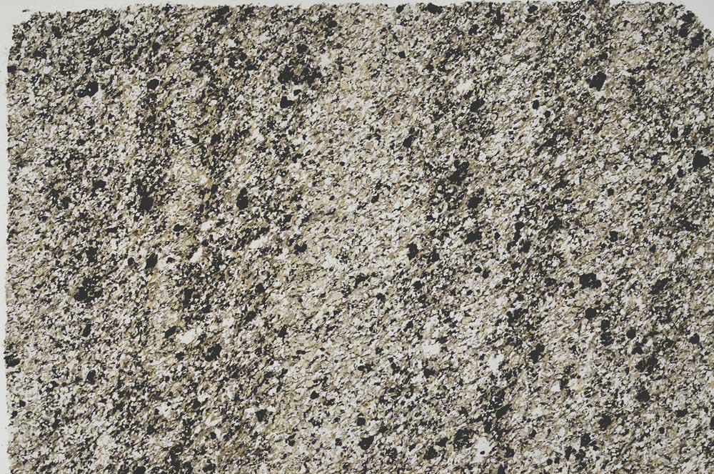 Plane Polarized, S56186