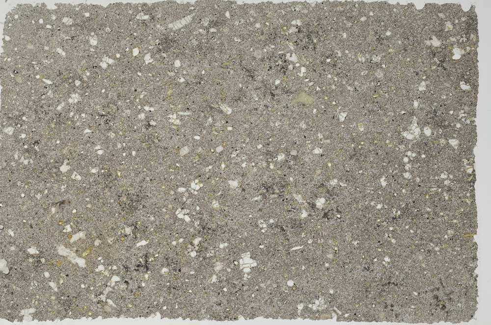 Plane Polarized, S56191