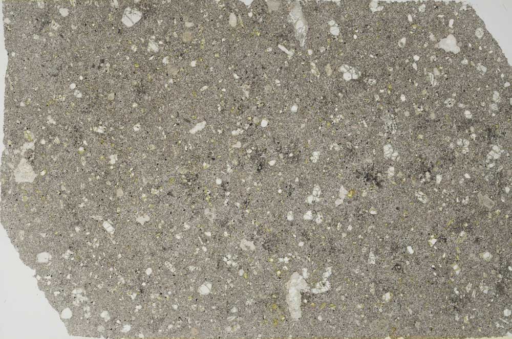 Plane Polarized, S56191/A