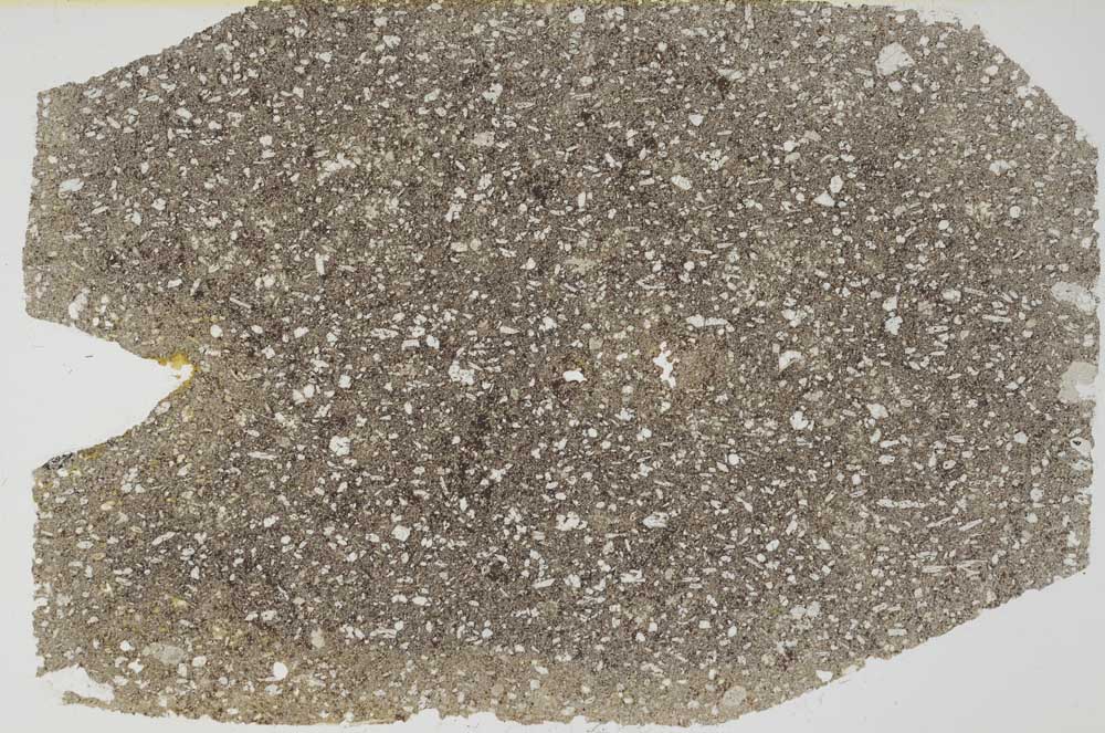 Plane Polarized, S56192/A