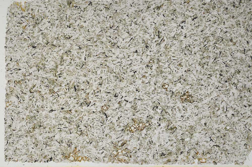 Plane Polarized, S56195