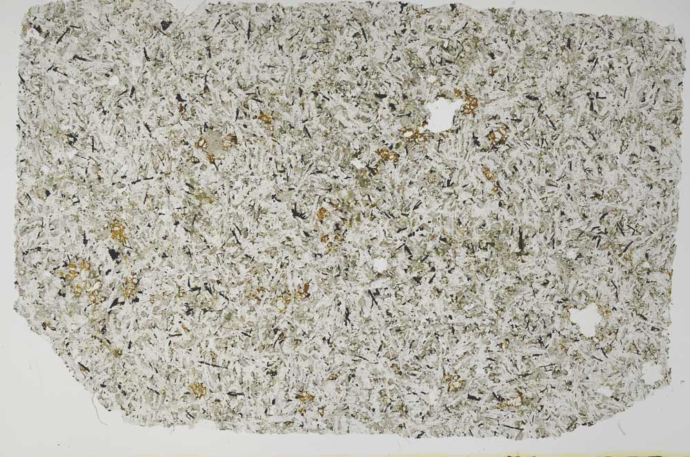 Plane Polarized, S56195/A