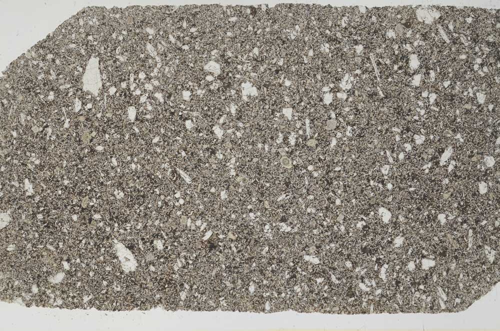 Plane Polarized, S56196