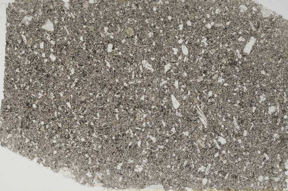 Plane Polarized, S56196/A