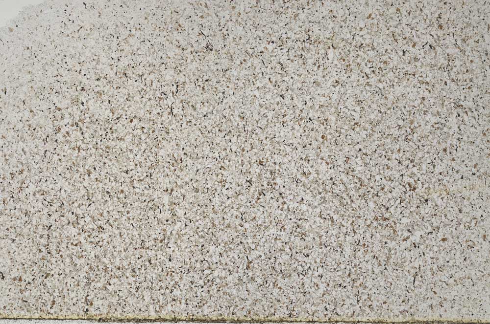 Plane Polarized, S56201