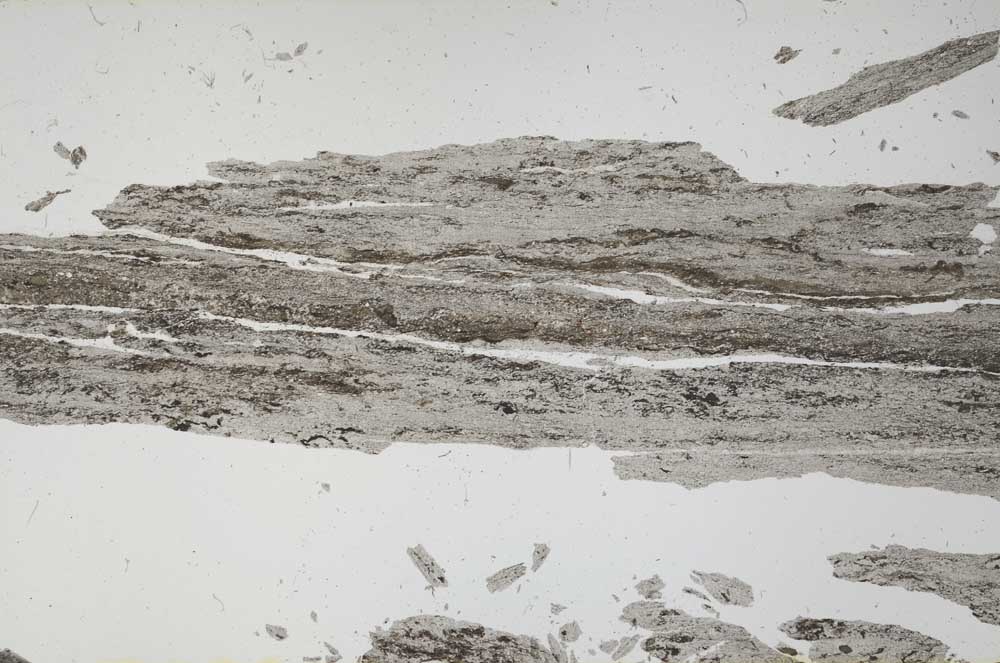 Plane Polarized, S56202