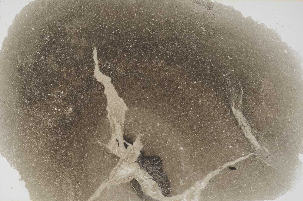 Plane Polarized, S56203