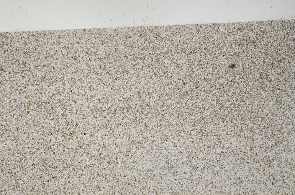 Plane Polarized, S56205