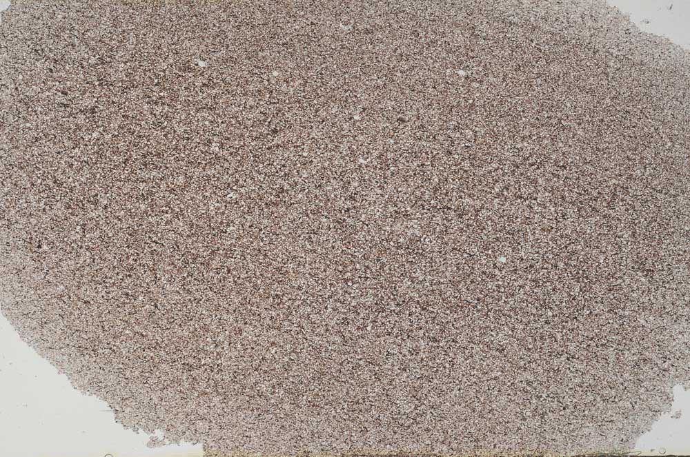 Plane Polarized, S56207