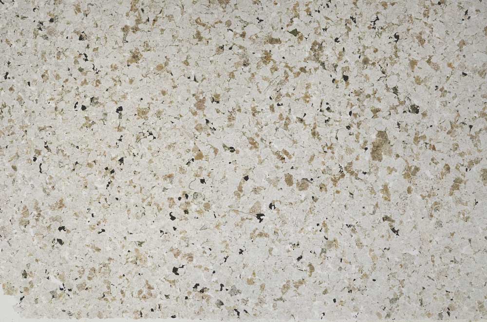 Plane Polarized, S56210