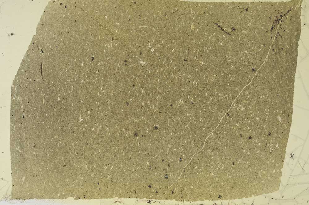 Plane Polarized, S56246