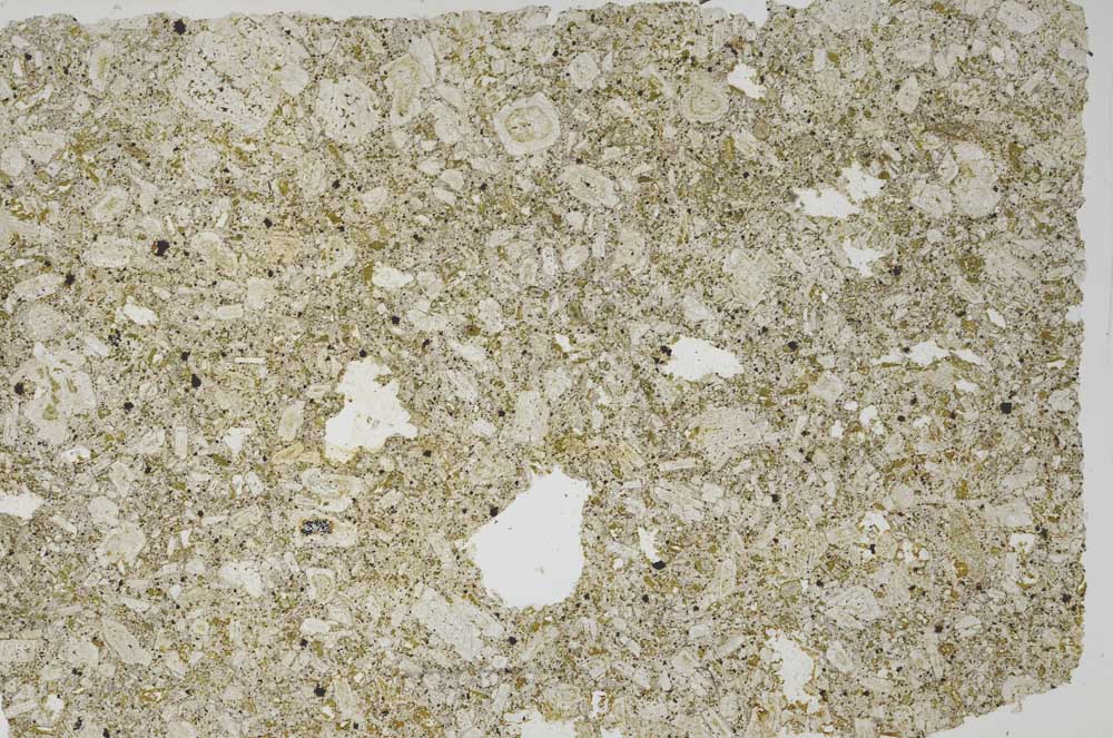 Plane Polarized, S56248