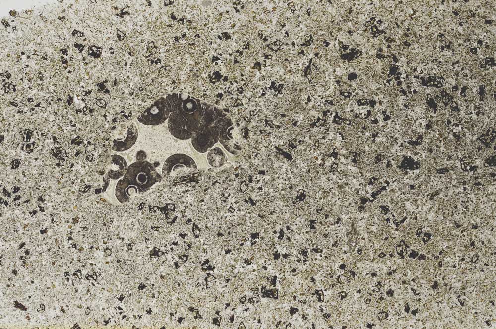 Plane Polarized, S56249