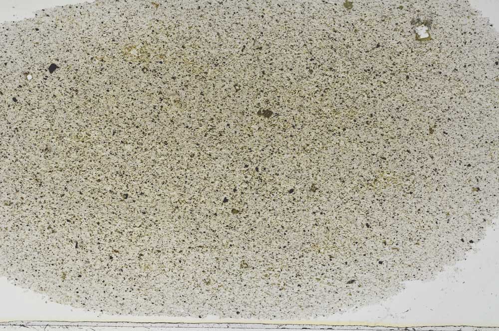 Plane Polarized, S56250