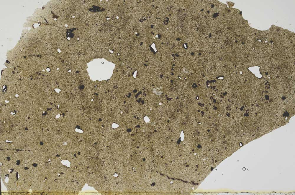 Plane Polarized, S56251