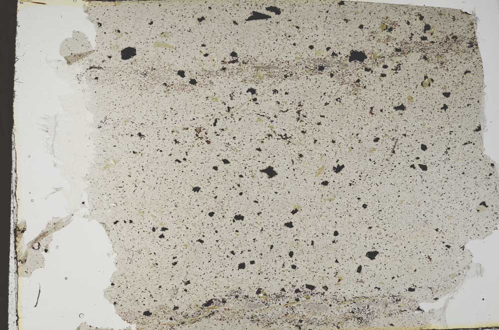 Plane Polarized, S56254