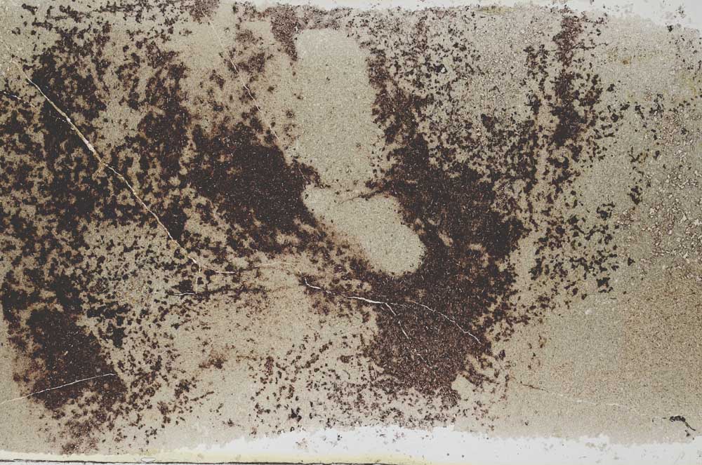 Plane Polarized, S56255