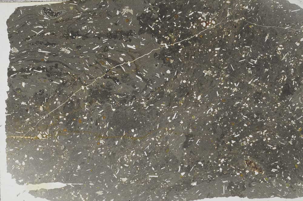 Plane Polarized, S56270