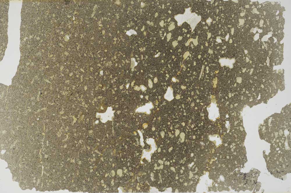 Plane Polarized, S56273