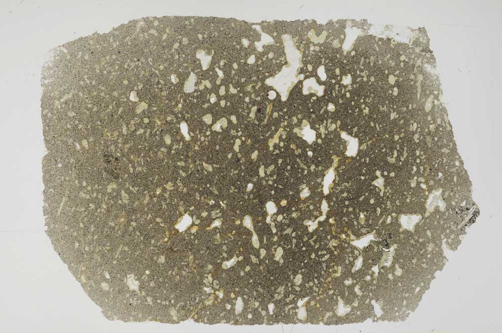 Plane Polarized, S56273/A