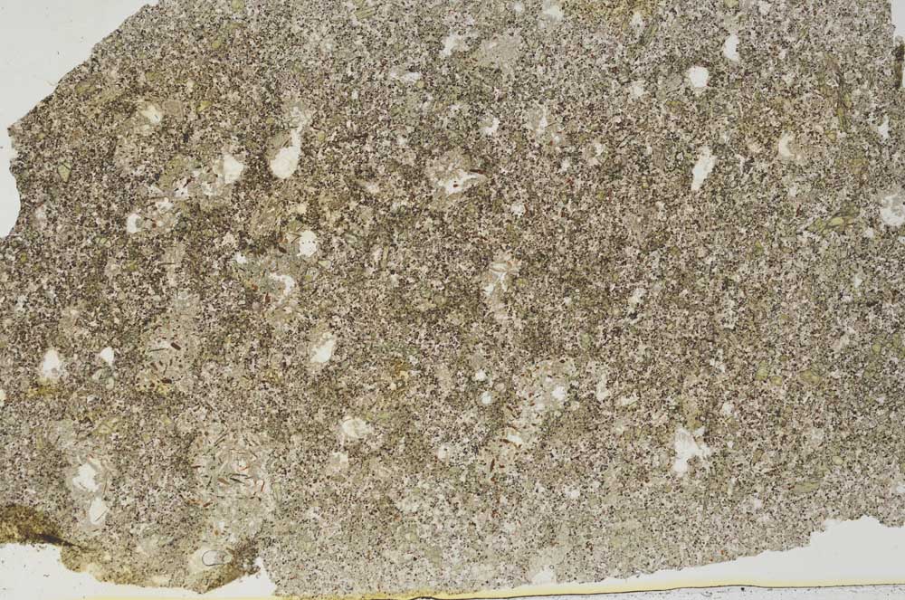 Plane Polarized, S56277