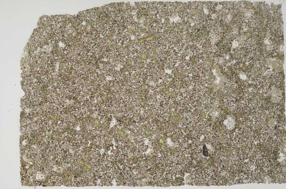 Plane Polarized, S56277/A