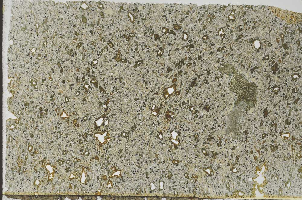 Plane Polarized, S56279