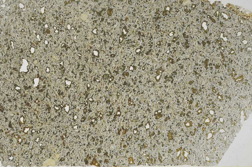 Plane Polarized, S56279/A