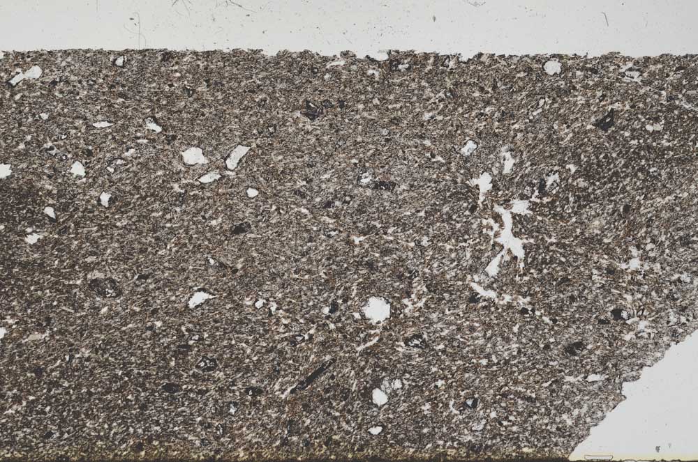 Plane Polarized, S56379