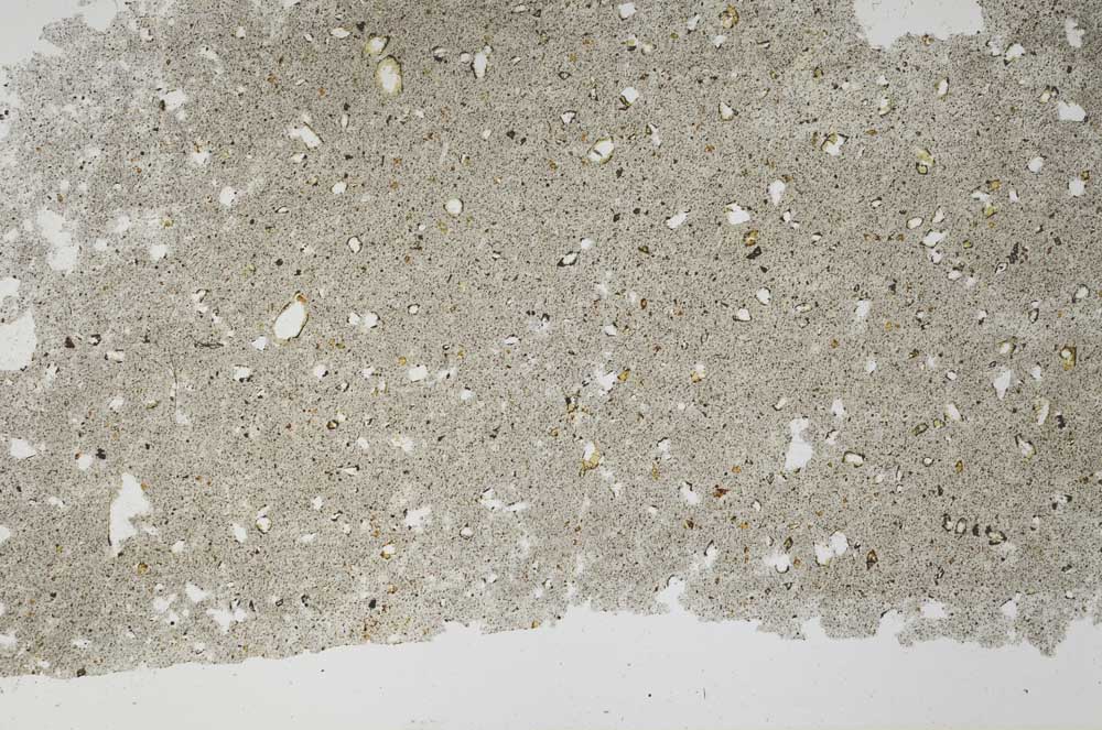 Plane Polarized, S56380